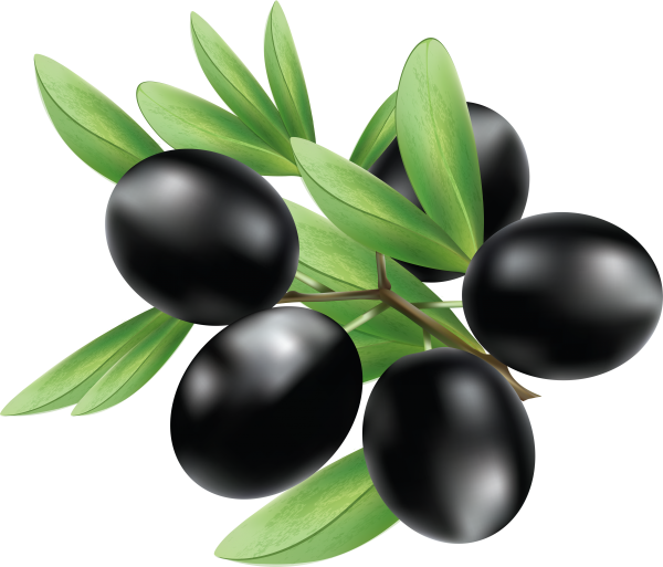 Olives PNG Free Download 15