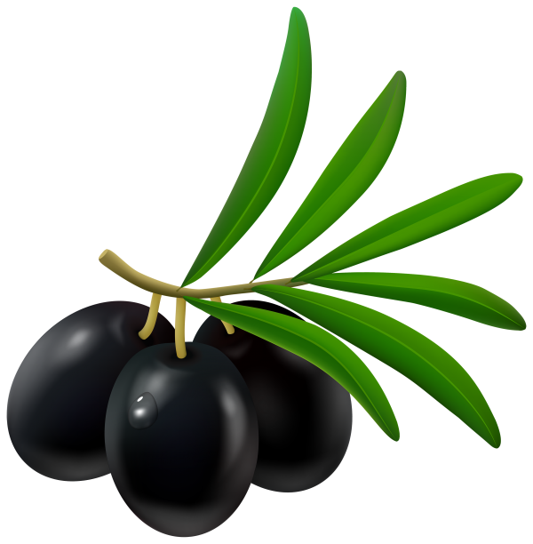 Olives PNG Free Download 16