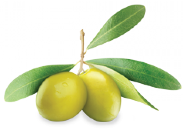 Olives PNG Free Download 18