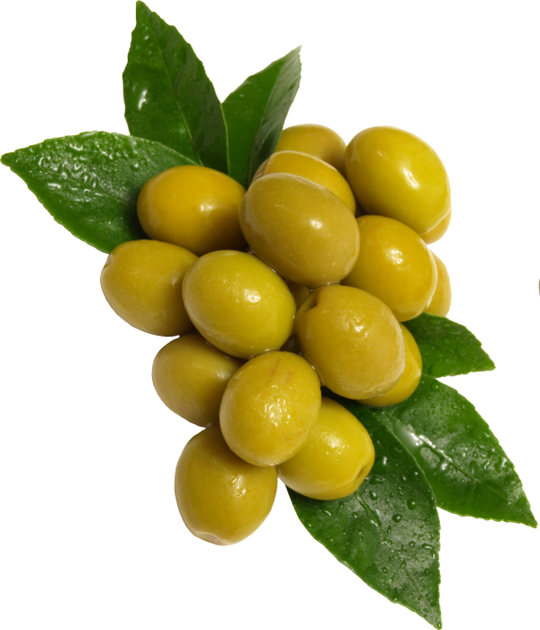 Olives PNG Free Download 2