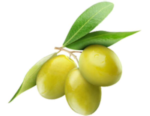 Olives PNG Free Download 23