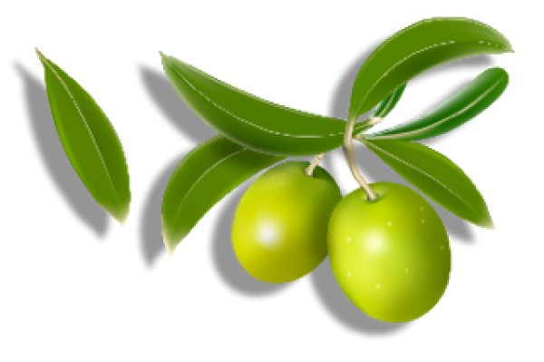 Olives PNG Free Download 26