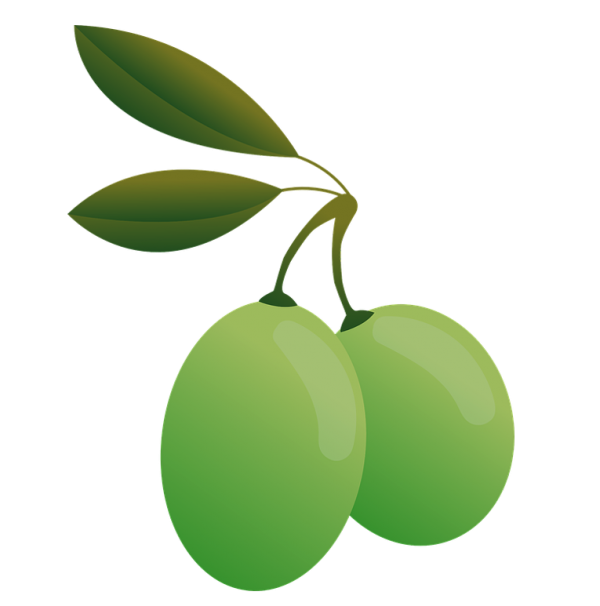 Olives PNG Free Download 28