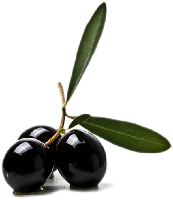 Olives PNG Free Download 31