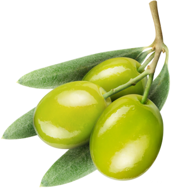 Olives PNG Free Download 33