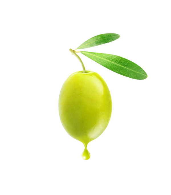 Olives PNG Free Download 36