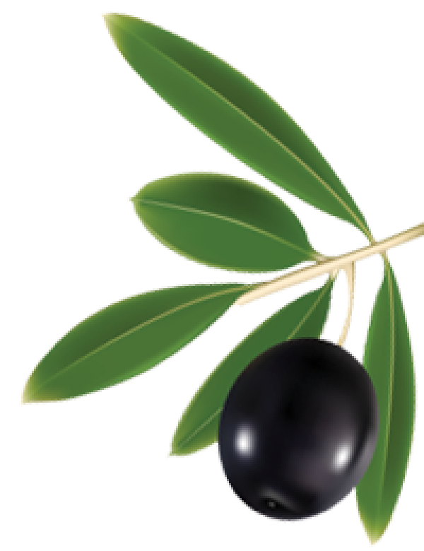 Olives PNG Free Download 39