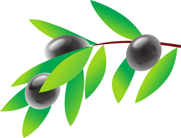 Olives PNG Free Download 40