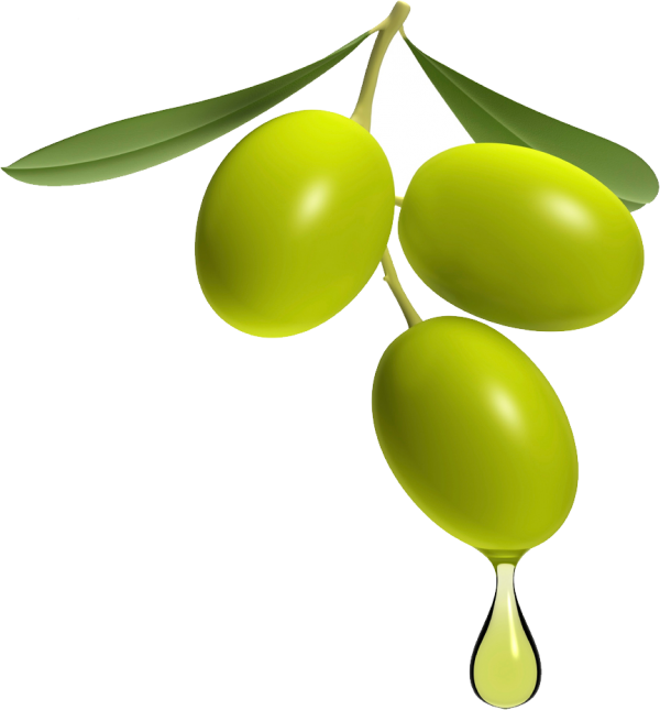 Olives PNG Free Download 42