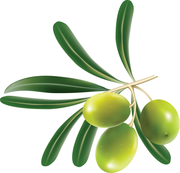 Olives PNG Free Download 5