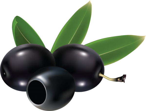 Olives PNG Free Download 50