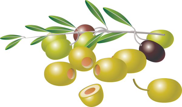 Olives PNG Free Download 51