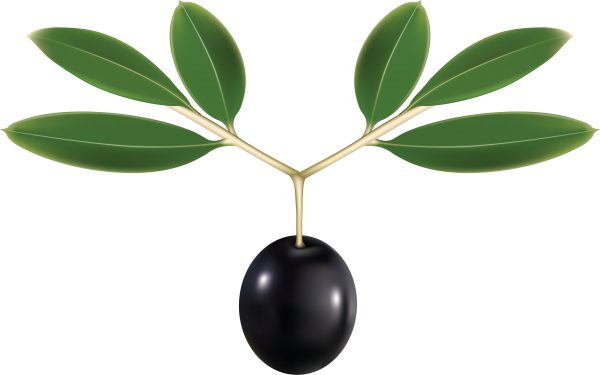 Olives PNG Free Download 57