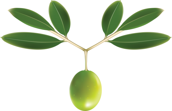 Olives PNG Free Download 58