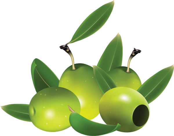 Olives PNG Free Download 6