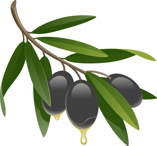 Olives PNG Free Download 60