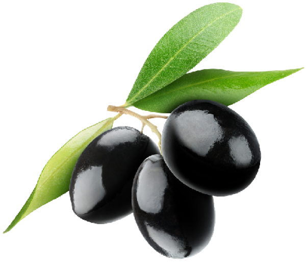 Olives PNG Free Download 63