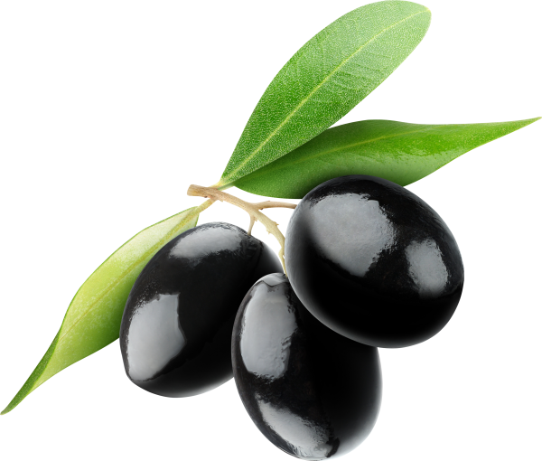 Olives PNG Free Download 8