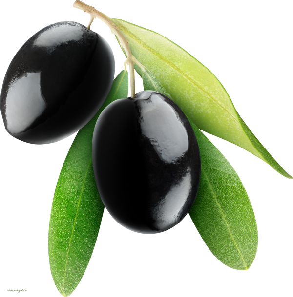 Olives PNG Free Download 9