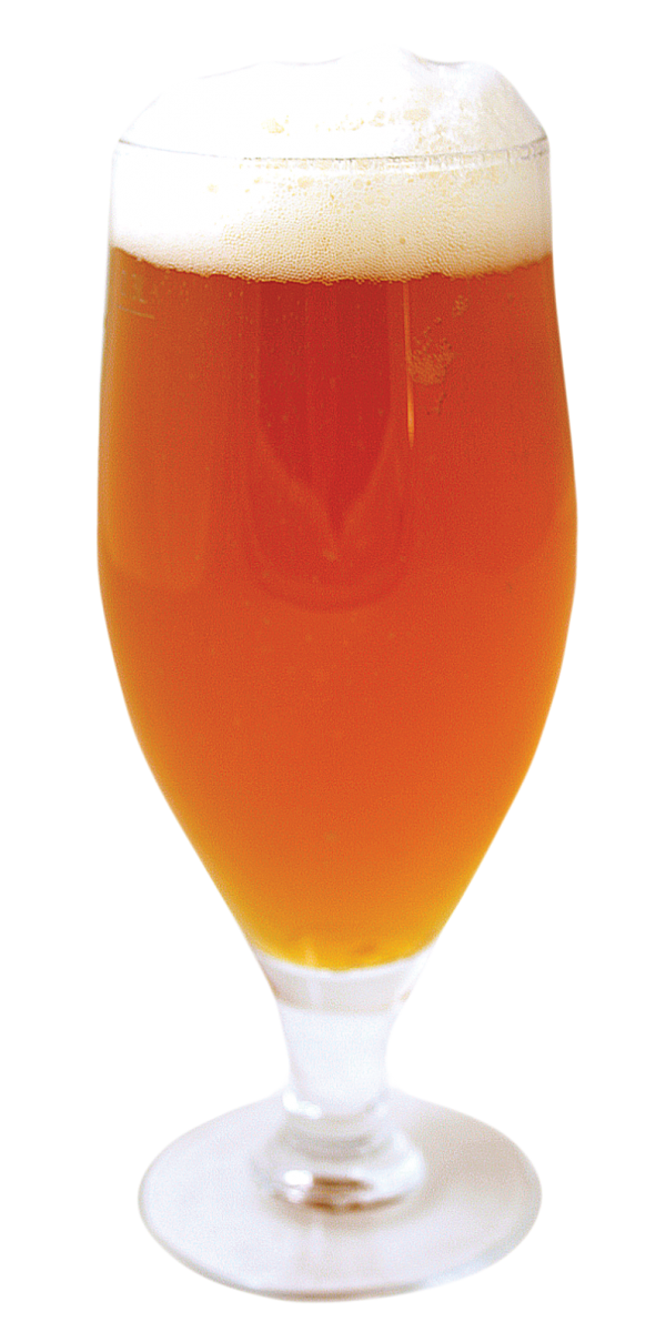 heineken beer free image download