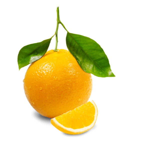 Orange PNG Free Download 1