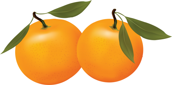 Orange PNG Free Download 11