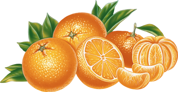 Orange PNG Free Download 12