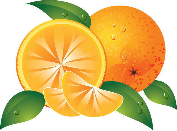 Orange PNG Free Download 13