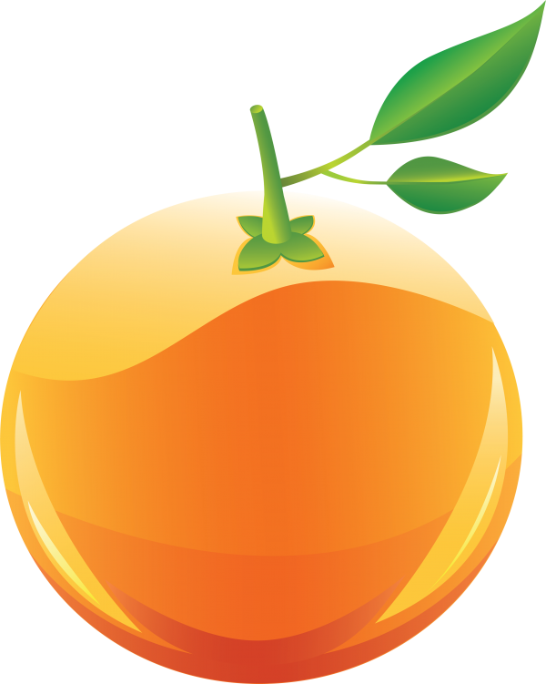Orange PNG Free Download 15