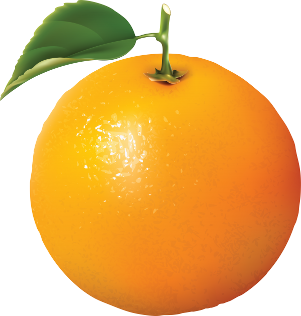 Orange PNG Free Download 16