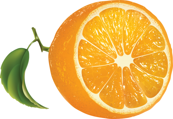 Orange PNG Free Download 17