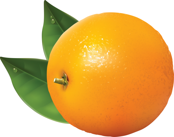 Orange PNG Free Download 20
