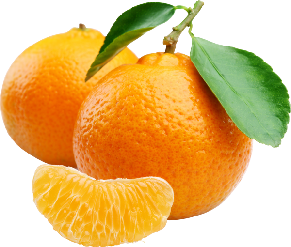 Orange PNG Free Download 22