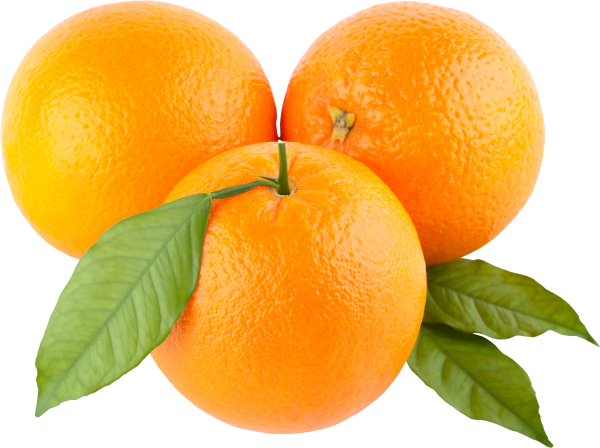 Orange PNG Free Download 23