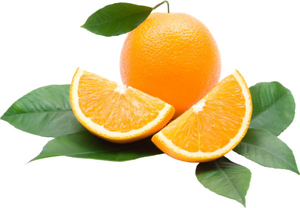 Orange PNG Free Download 24
