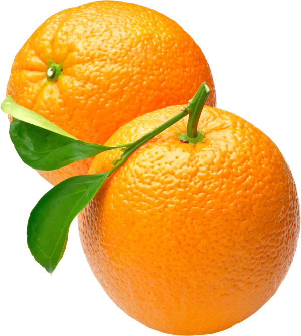Orange PNG Free Download 25