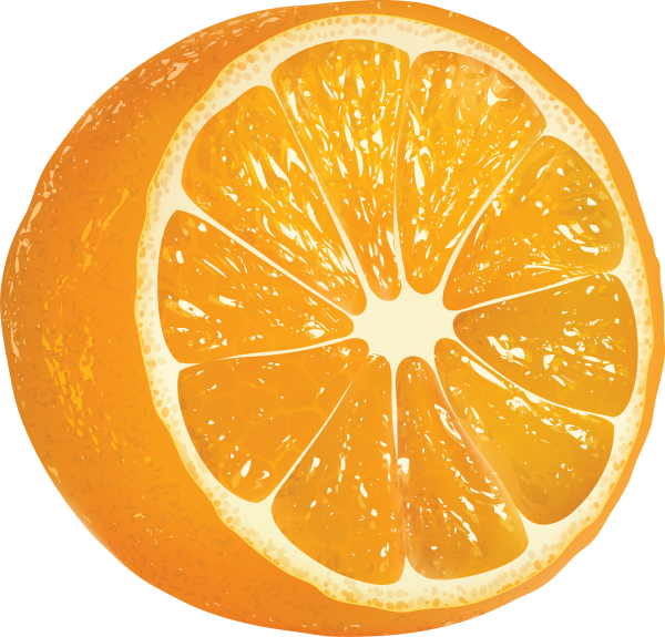 Orange PNG Free Download 26