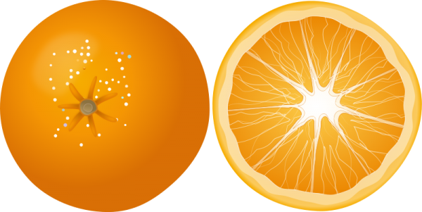 Orange PNG Free Download 27