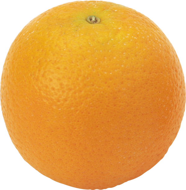 Orange PNG Free Download 30