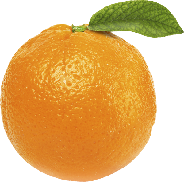 Orange PNG Free Download 34