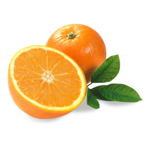 Orange PNG Free Download 37