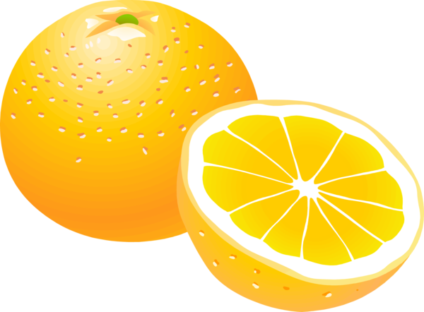 Orange PNG Free Download 40