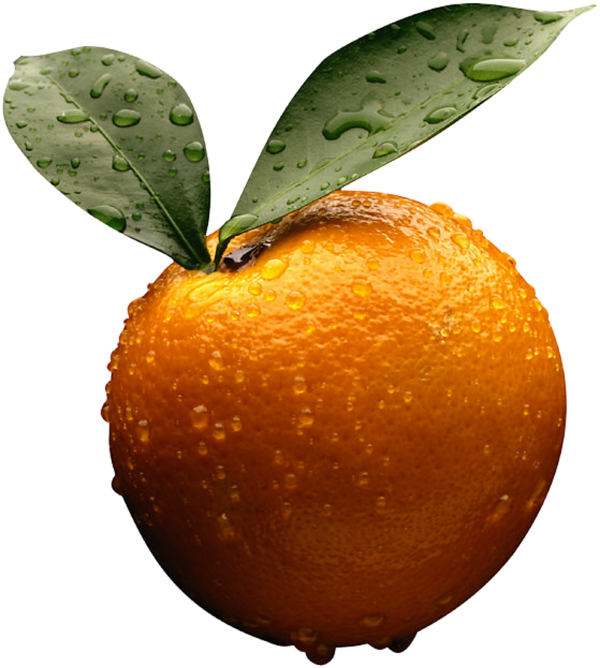 Orange PNG Free Download 41