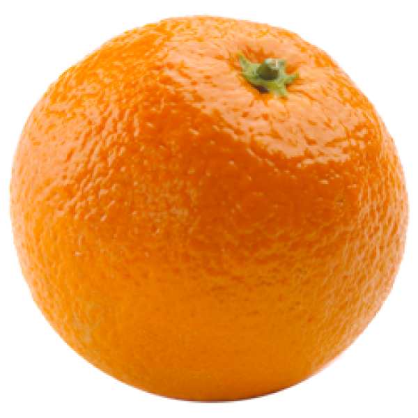 Orange PNG Free Download 43