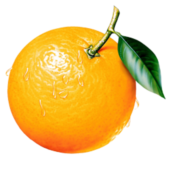 Orange PNG Free Download 49