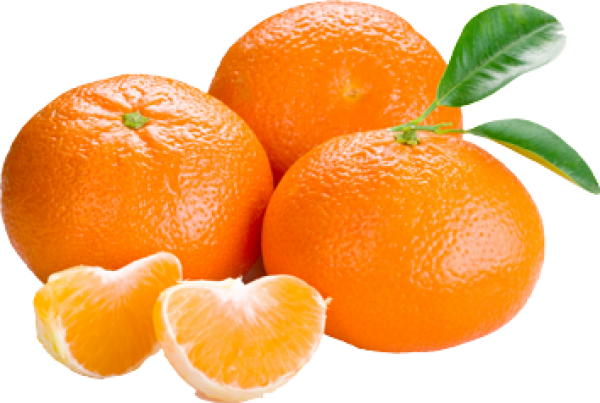 Orange PNG Free Download 53