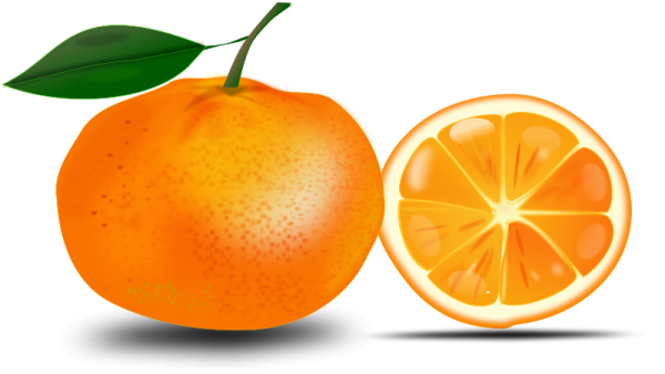 Orange PNG Free Download 6