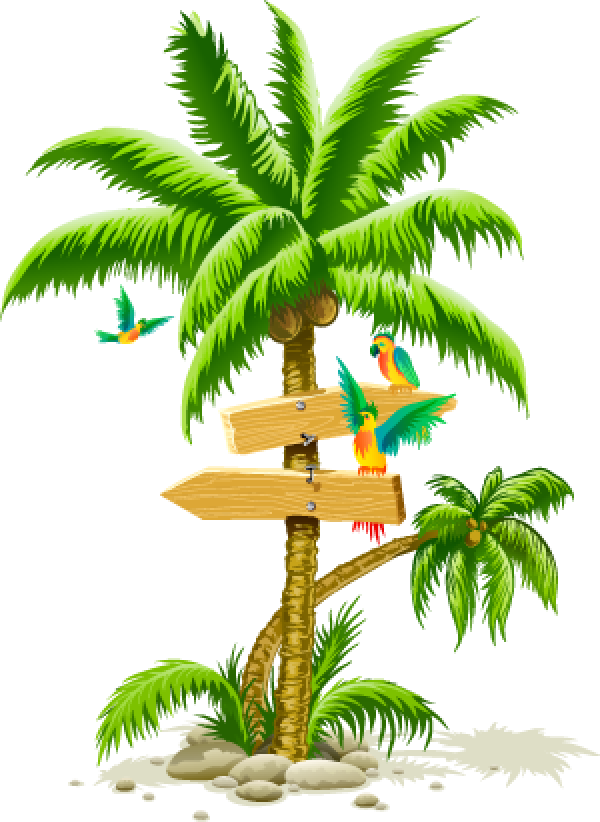 PalmTree PNG Free Download 1