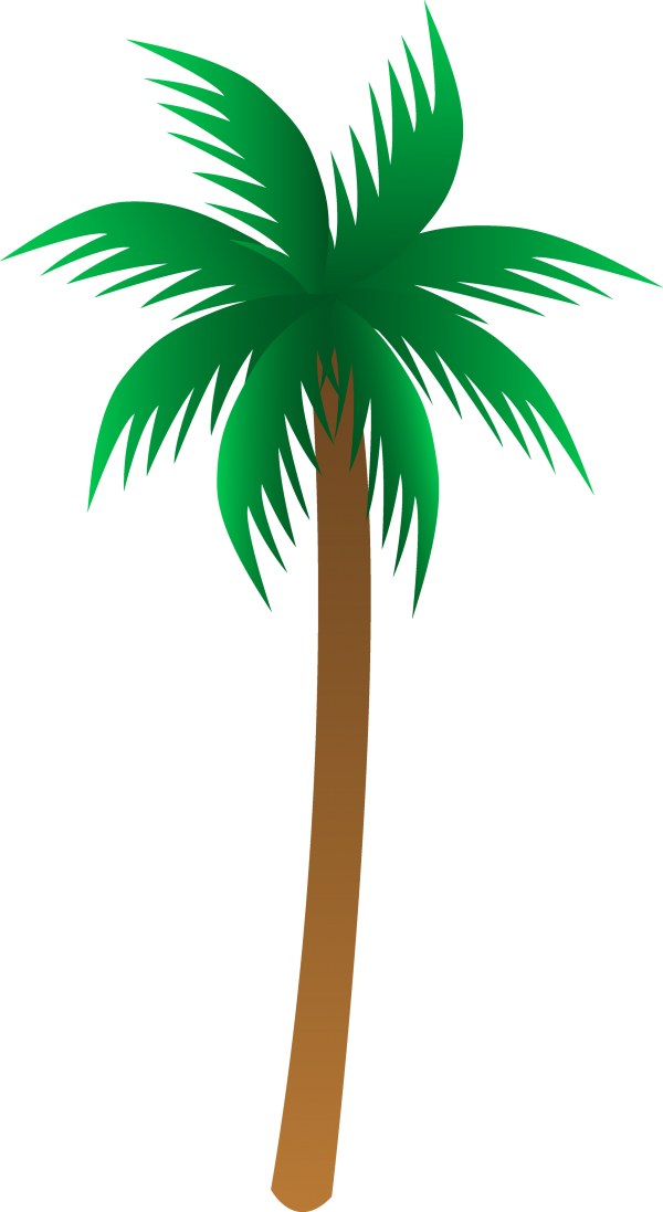 PalmTree PNG Free Download 16