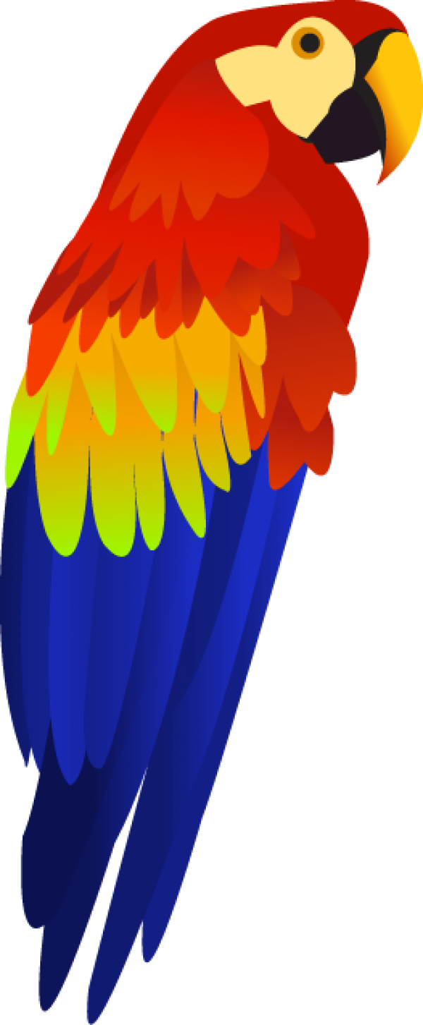 Parrot PNG Free Download 12